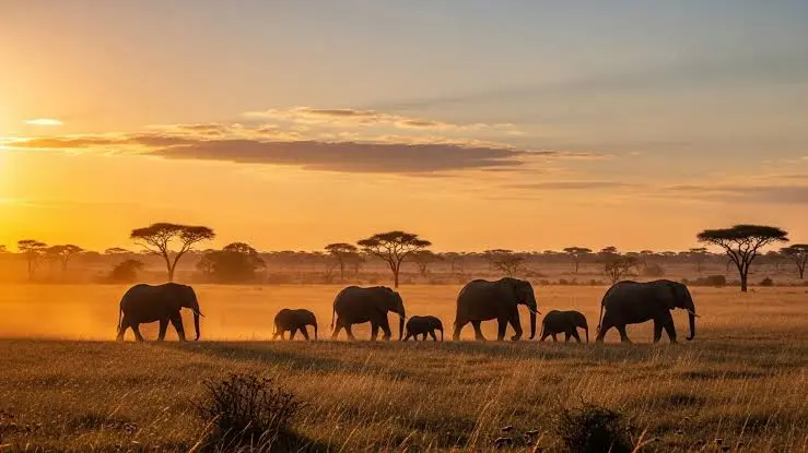 South Africa